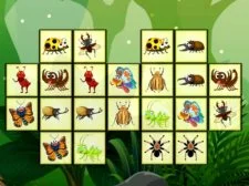 Conectați insecte